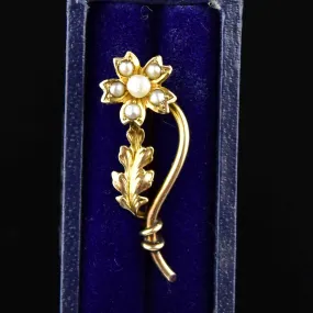 10K Gold Pearl Forget Me Not Flower Brooch