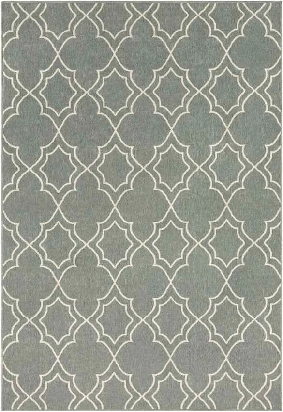 Liam Outdoor Area Rug Carpet for Living Room Bedroom or Kitchen